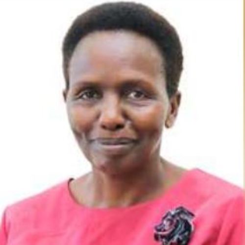 Dr. Lillian N. Gimuguni